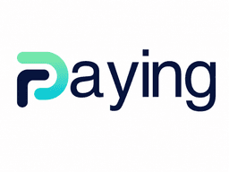 Paying.co The Payment Stack Blog