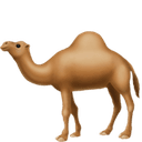 Hump ๐ช Days