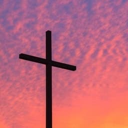 Daily Bible Verses โ๐ผ
