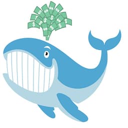 Unusualwhales Newsletter
